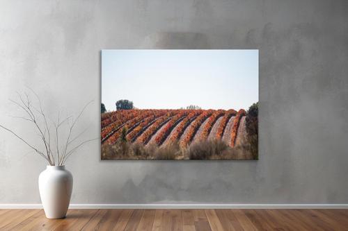 Dekoratif Doğa ( Nature ) Kanvas Tablo  298 