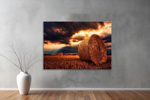 Dekoratif Doğa ( Nature ) Kanvas Tablo  301 