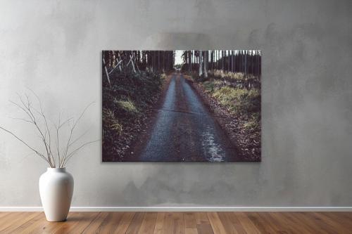 Dekoratif Doğa ( Nature ) Kanvas Tablo  487 