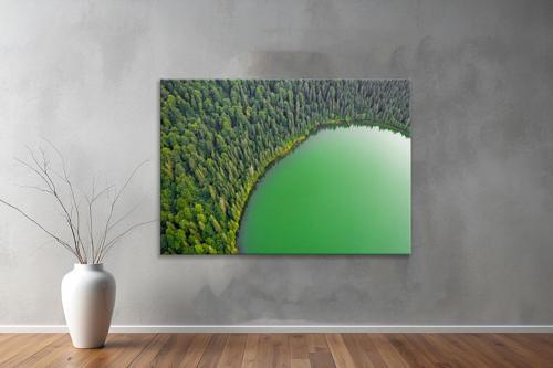 Dekoratif Doğa ( Nature ) Kanvas Tablo  490 