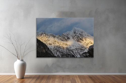 Dekoratif Doğa ( Nature ) Kanvas Tablo  310 