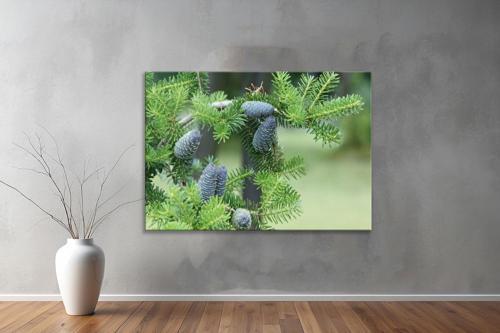 Dekoratif Doğa ( Nature ) Kanvas Tablo  493 