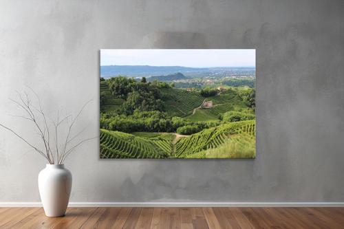 Dekoratif Doğa ( Nature ) Kanvas Tablo  318 