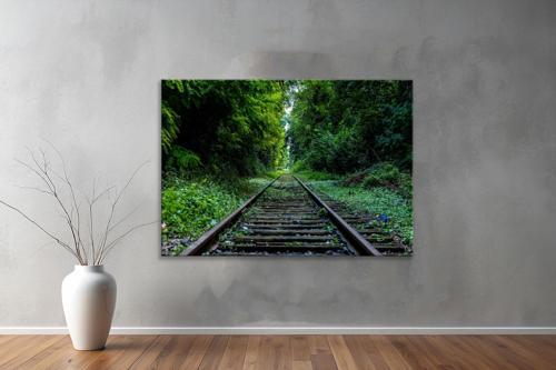 Dekoratif Doğa ( Nature ) Kanvas Tablo  499 