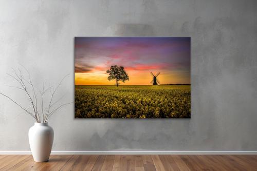 Dekoratif Doğa ( Nature ) Kanvas Tablo  501 