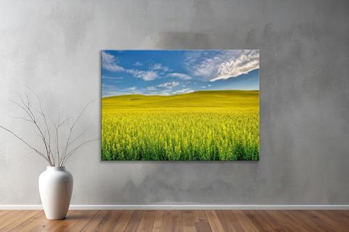 Dekoratif Doğa ( Nature ) Kanvas Tablo  502 