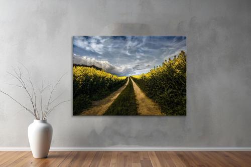 Dekoratif Doğa ( Nature ) Kanvas Tablo  503 