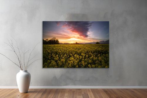 Dekoratif Doğa ( Nature ) Kanvas Tablo  504 