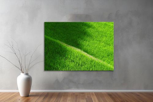 Dekoratif Doğa ( Nature ) Kanvas Tablo  508 
