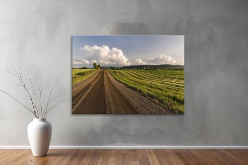 Dekoratif Doğa ( Nature ) Kanvas Tablo  513 