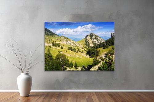 Dekoratif Doğa ( Nature ) Kanvas Tablo  76 