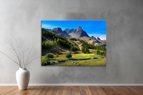 Dekoratif Doğa ( Nature ) Kanvas Tablo  77 