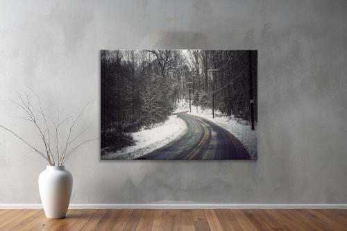 Dekoratif Doğa ( Nature ) Kanvas Tablo 517