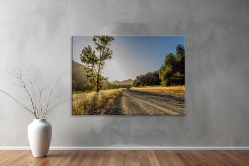 Dekoratif Doğa ( Nature ) Kanvas Tablo 519