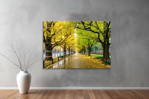 Dekoratif Doğa ( Nature ) Kanvas Tablo  80 