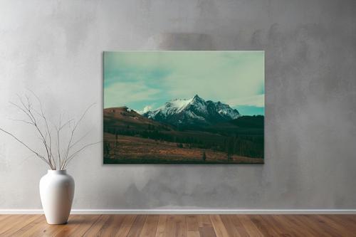 Dekoratif Doğa ( Nature ) Kanvas Tablo  521 
