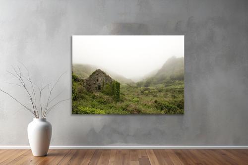 Dekoratif Doğa ( Nature ) Kanvas Tablo  526 