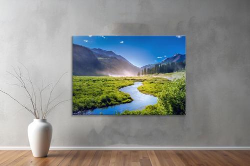 Dekoratif Doğa ( Nature ) Kanvas Tablo  88 