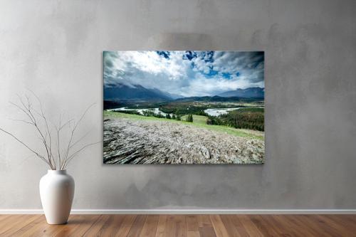 Dekoratif Doğa ( Nature ) Kanvas Tablo  94 