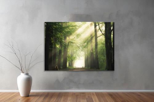 Dekoratif Doğa ( Nature ) Kanvas Tablo  95 