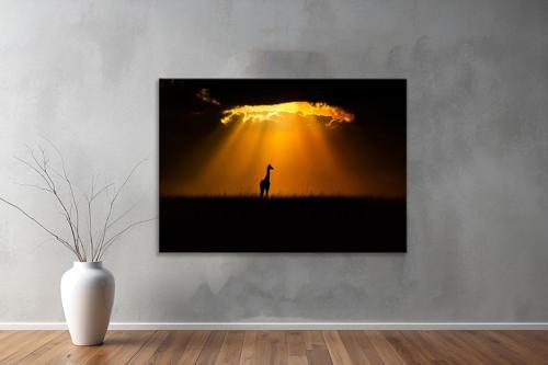 Dekoratif Doğa ( Nature ) Kanvas Tablo  550 