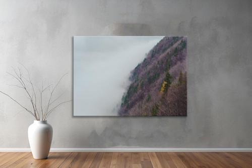 Dekoratif Doğa ( Nature ) Kanvas Tablo  557 