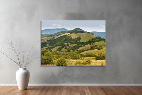 Dekoratif Doğa ( Nature ) Kanvas Tablo  558 