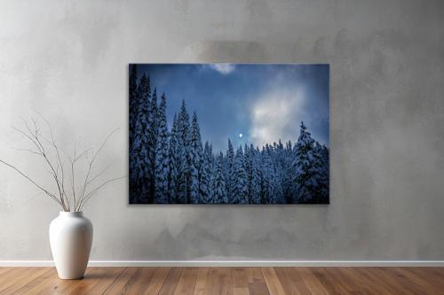 Dekoratif Doğa ( Nature ) Kanvas Tablo  560 
