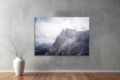 Dekoratif Doğa ( Nature ) Kanvas Tablo  562 