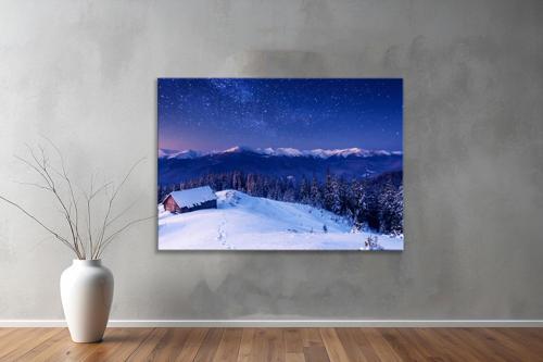 Dekoratif Doğa ( Nature ) Kanvas Tablo  564 
