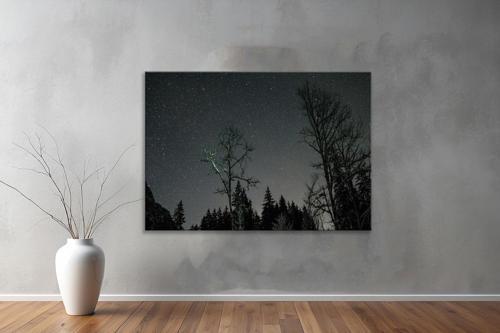Dekoratif Doğa ( Nature ) Kanvas Tablo  570 