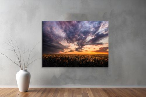 Dekoratif Doğa ( Nature ) Kanvas Tablo  576 