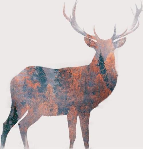 Digtal Sanat Kanvas  Yatay Tablo 286 