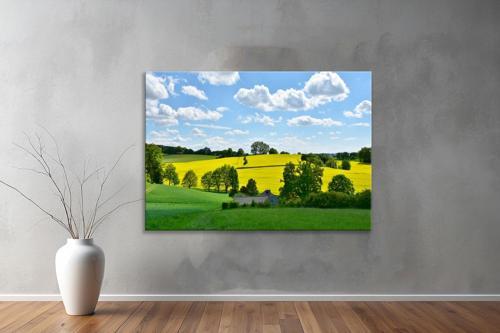 Dekoratif Doğa ( Nature ) Kanvas Tablo  58 