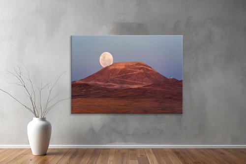 Dekoratif Doğa ( Nature ) Kanvas Tablo  590 