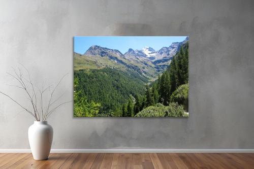 Dekoratif Doğa ( Nature ) Kanvas Tablo  592 