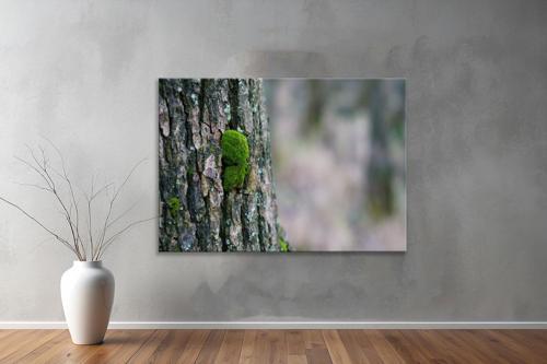 Dekoratif Doğa ( Nature ) Kanvas Tablo  610 