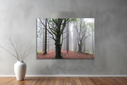 Dekoratif Doğa ( Nature ) Kanvas Tablo  611 