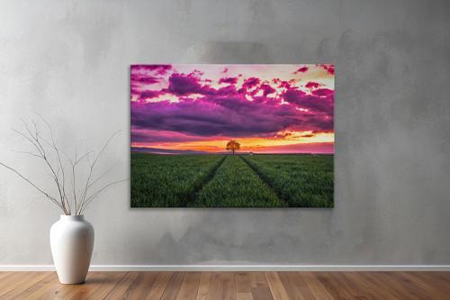 Dekoratif Doğa ( Nature ) Kanvas Tablo  612 