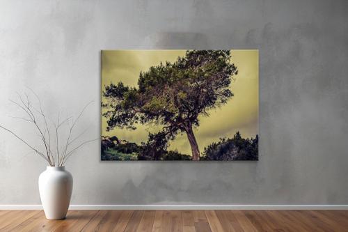 Dekoratif Doğa ( Nature ) Kanvas Tablo  613 