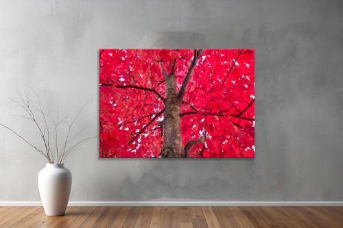 Dekoratif Doğa ( Nature ) Kanvas Tablo  614 