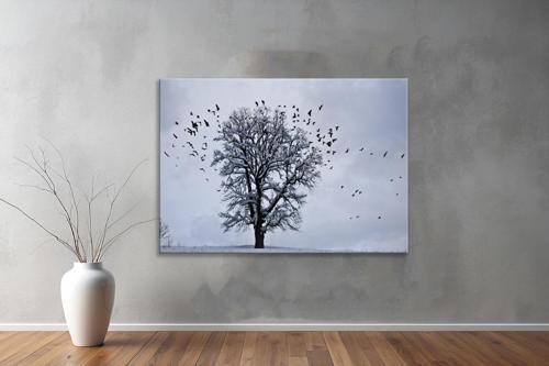 Dekoratif Doğa ( Nature ) Kanvas Tablo  615 