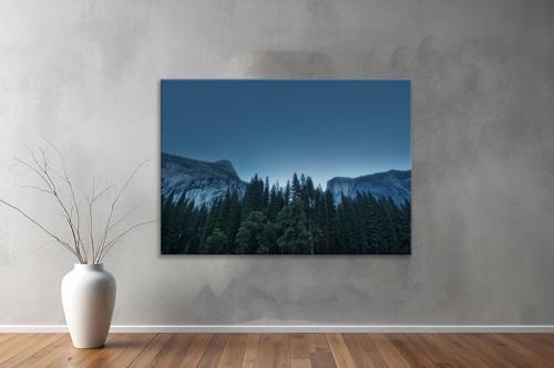 Dekoratif Doğa ( Nature ) Kanvas Tablo  618 