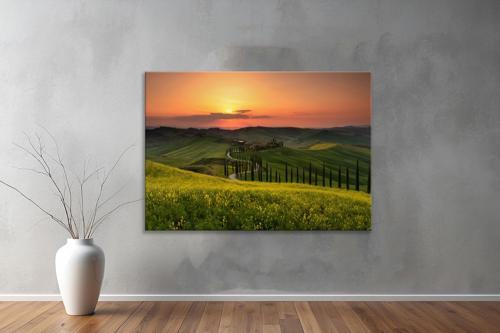 Dekoratif Doğa ( Nature ) Kanvas Tablo 625