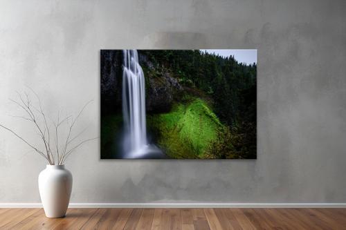 Dekoratif Doğa ( Nature ) Kanvas Tablo  637 