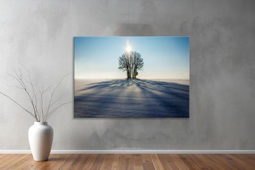 Dekoratif Doğa ( Nature ) Kanvas Tablo  644 