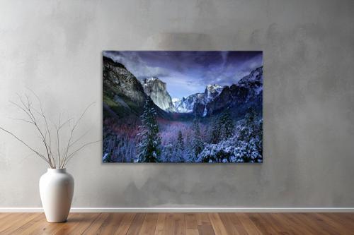 Dekoratif Doğa ( Nature ) Kanvas Tablo  645 