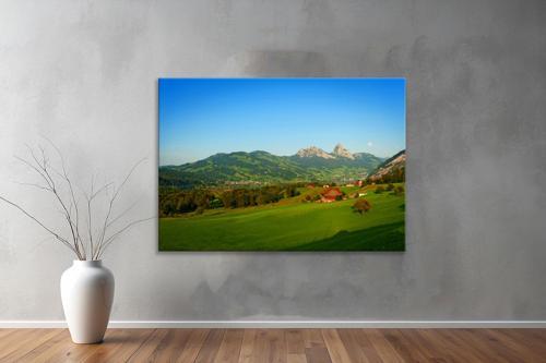Dekoratif Doğa ( Nature ) Kanvas Tablo  65 
