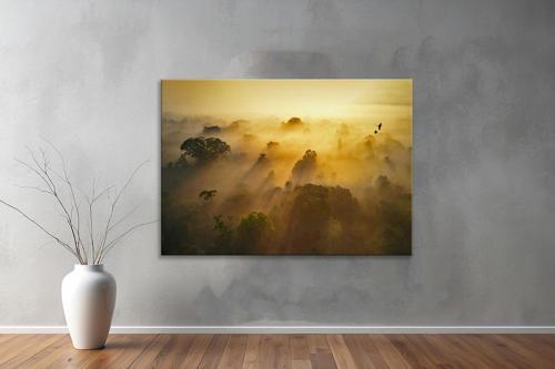 Dekoratif Doğa ( Nature ) Kanvas Tablo  650 