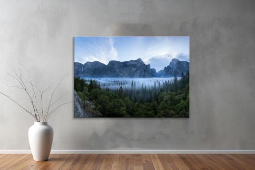 Dekoratif Doğa ( Nature ) Kanvas Tablo  654 